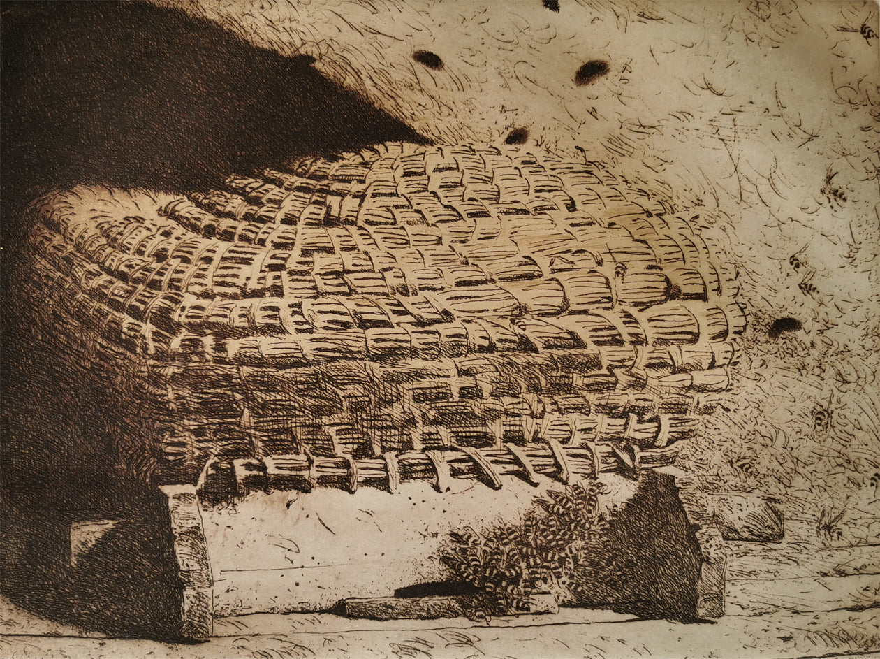 Close-up of bees and basket work, an etching Bee Shadows, by Jamie Wyeth.