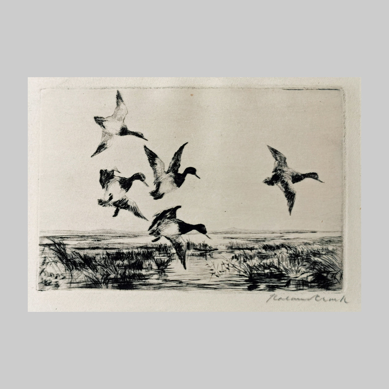 Drypoint etching on paper by artist Roland Clark, of five ducks flying over a marsh.