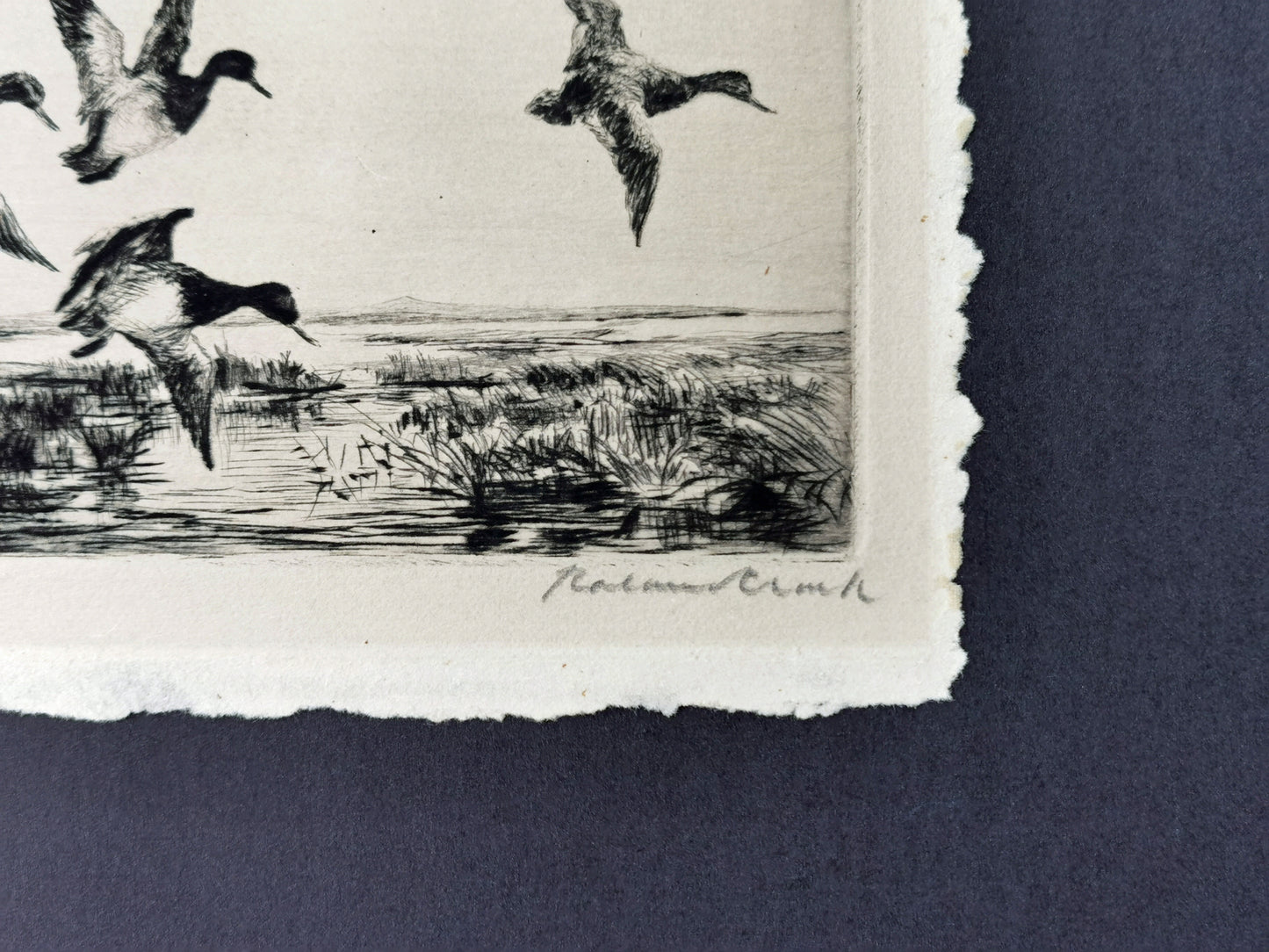 Close-up, of Roland Clark artist signature, on a drypoint etching of ducks in flight.