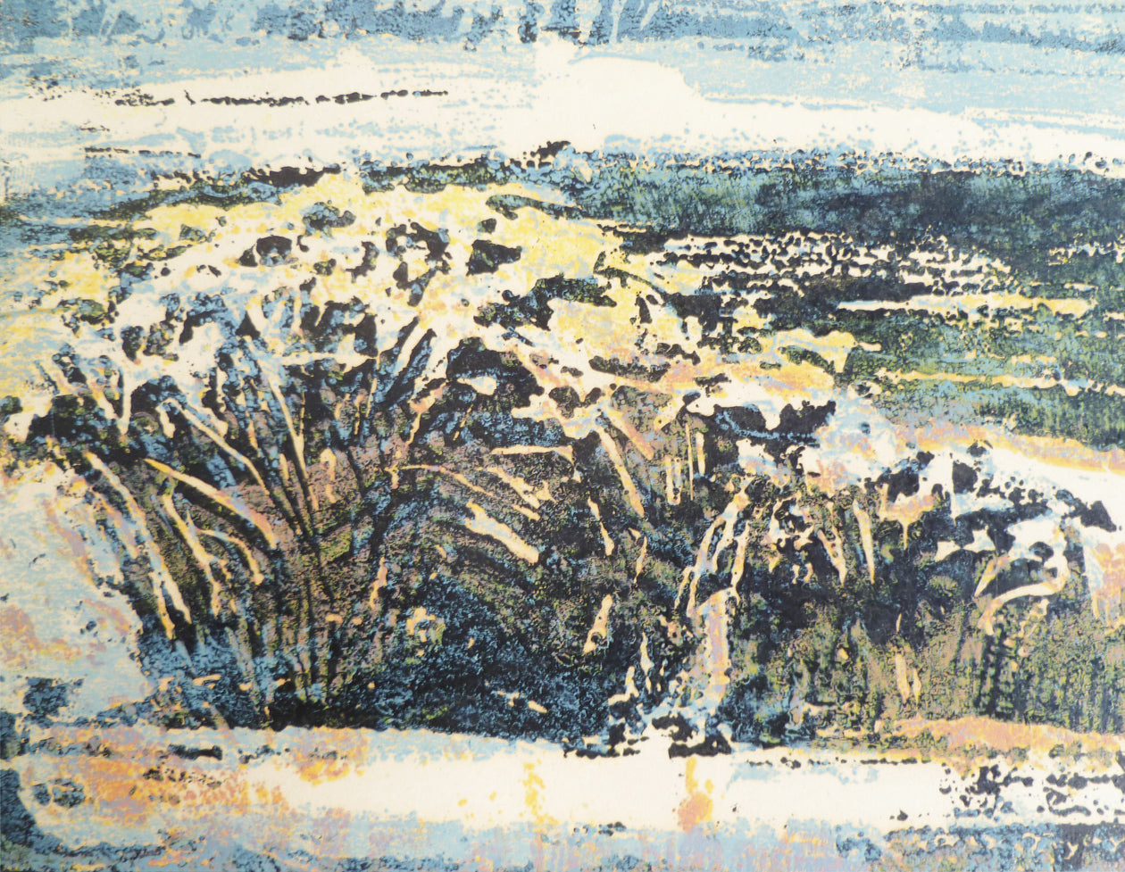 Signed Colour Silkscreen Artist Unknown possibly European detail image