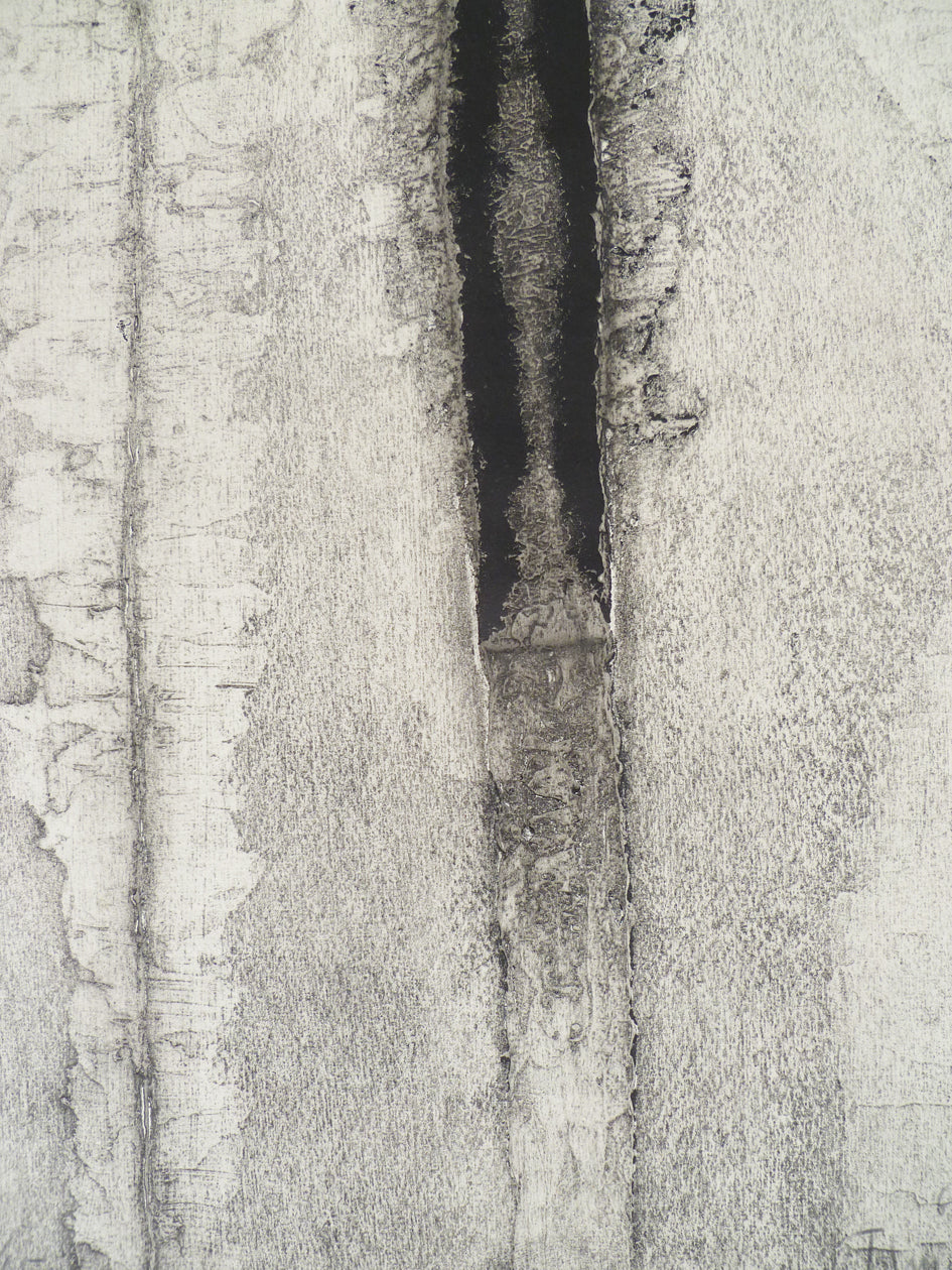 James Guitet Black and White etching 1965 close up image 2