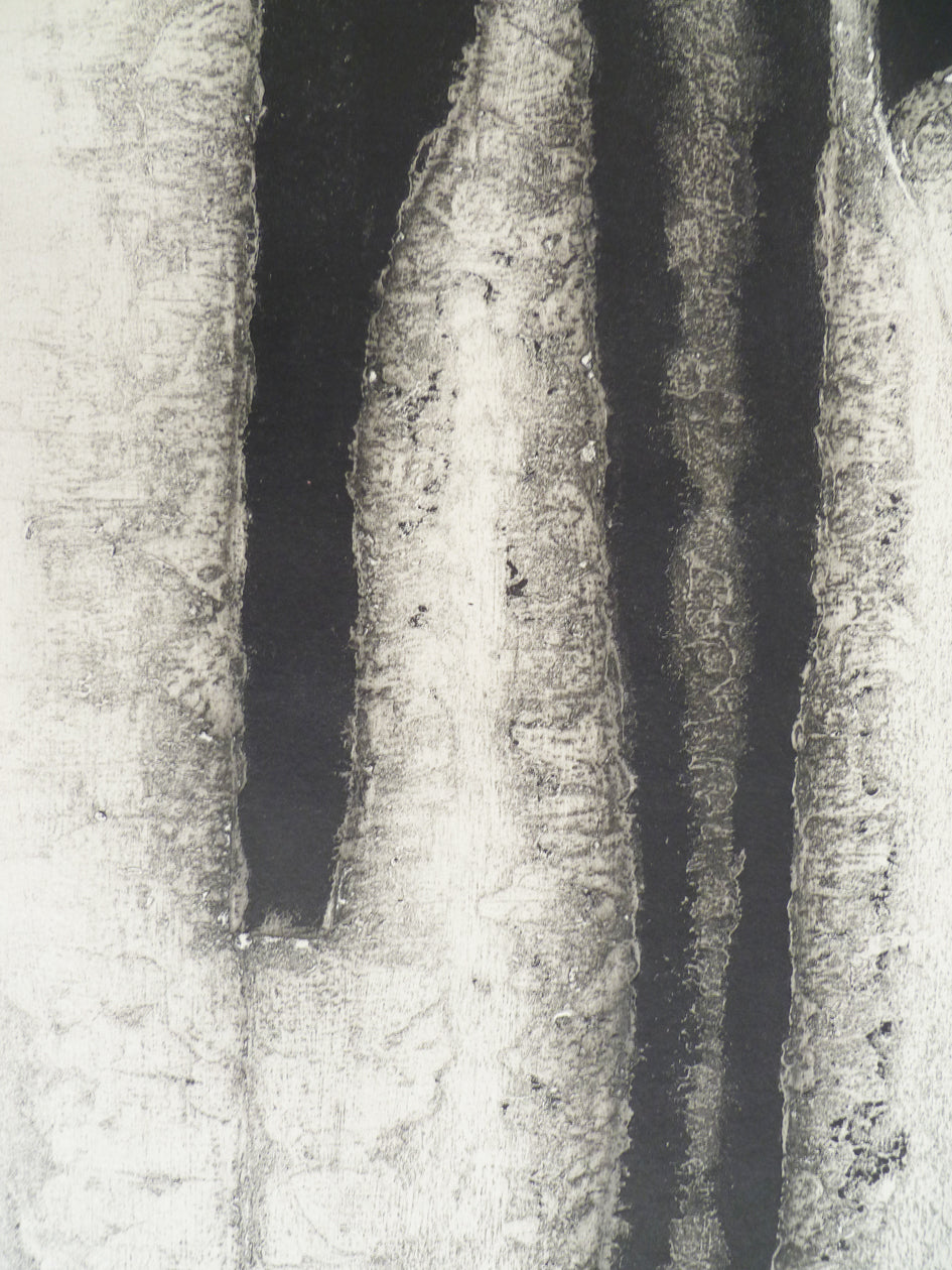 James Guitet Black and White etching 1965 close up image 1