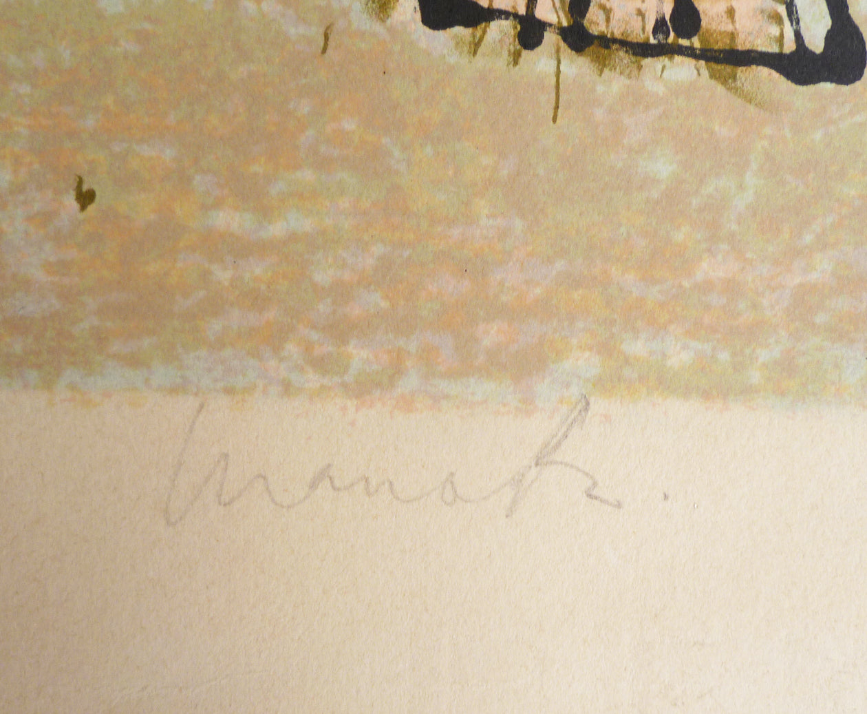 Marco Richterich Colour Lithograph signature image