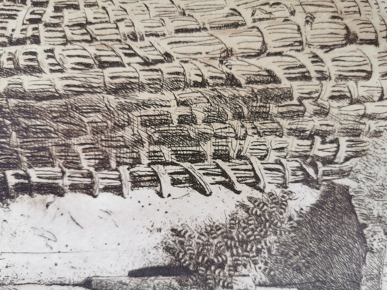 Jamie Wyeth colour drypoint etching Bee Shadows Close Up image