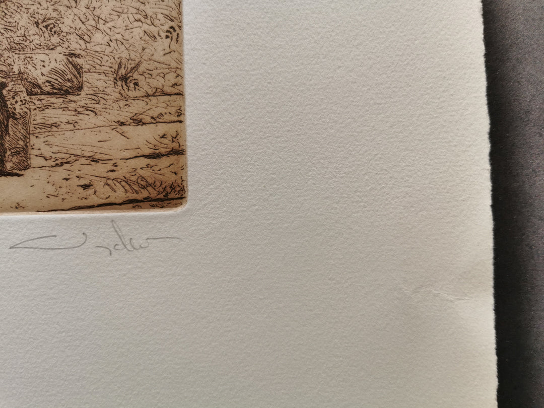 Jamie Wyeth colour drypoint etching Bee Shadows fault image