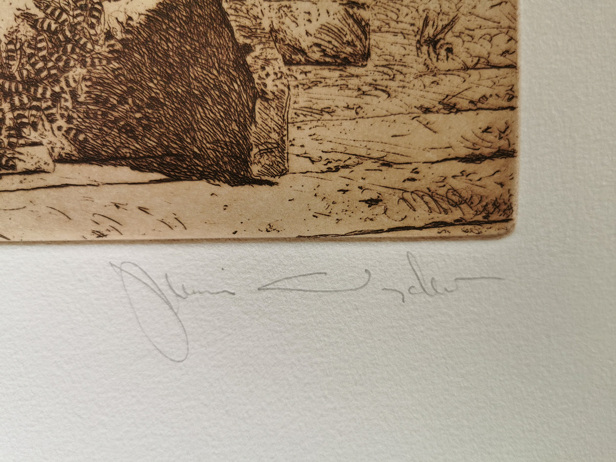 Close-up, of Jamie Wyeth artist signature, on Bee Shadows brown ink etching.