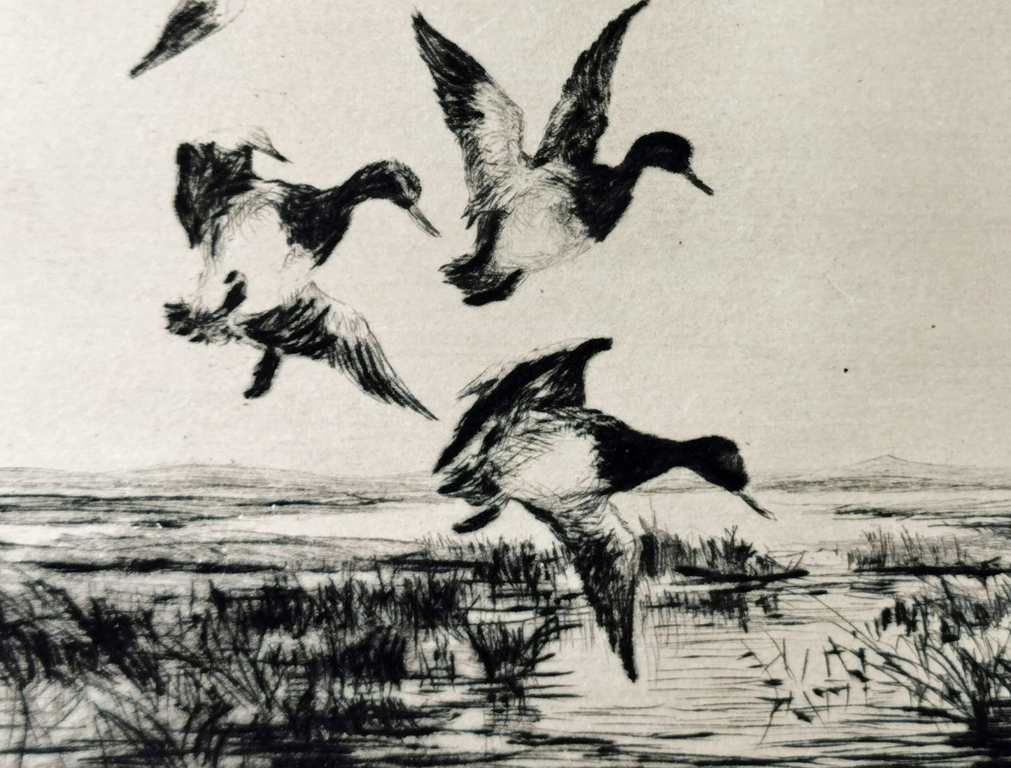 Roland Clark Drypoint Etching of 5 ducks Xmas 1928 Close up photo