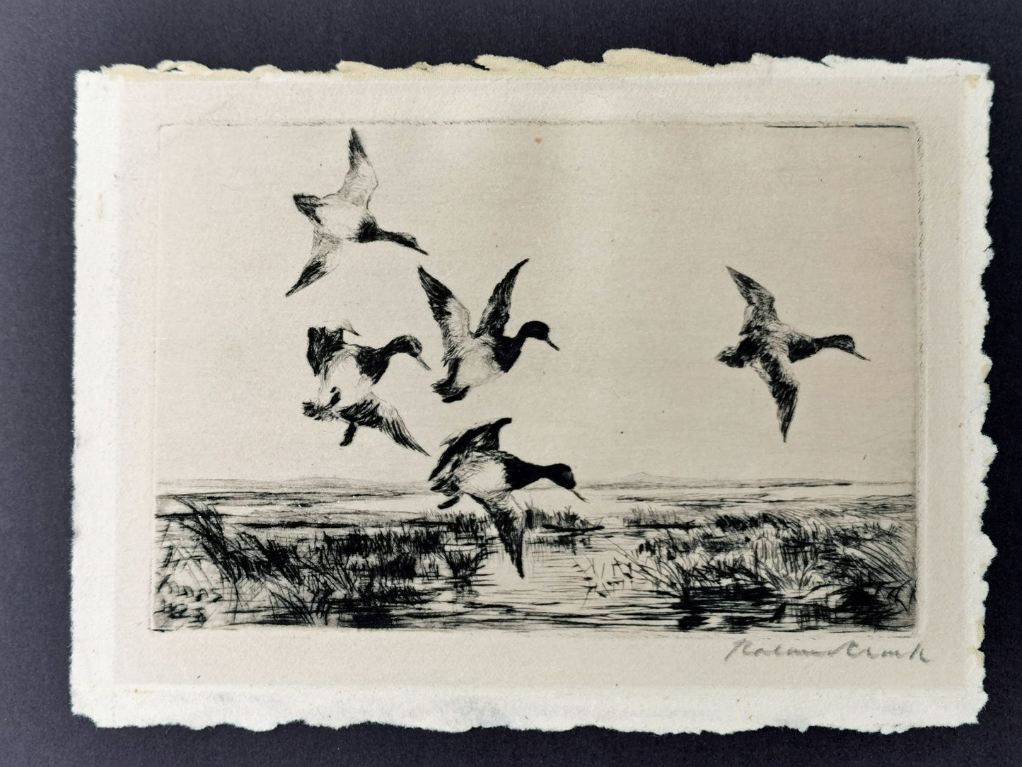 Roland Clark Drypoint Etching of 5 ducks Xmas 1928 Full Sheet Photo