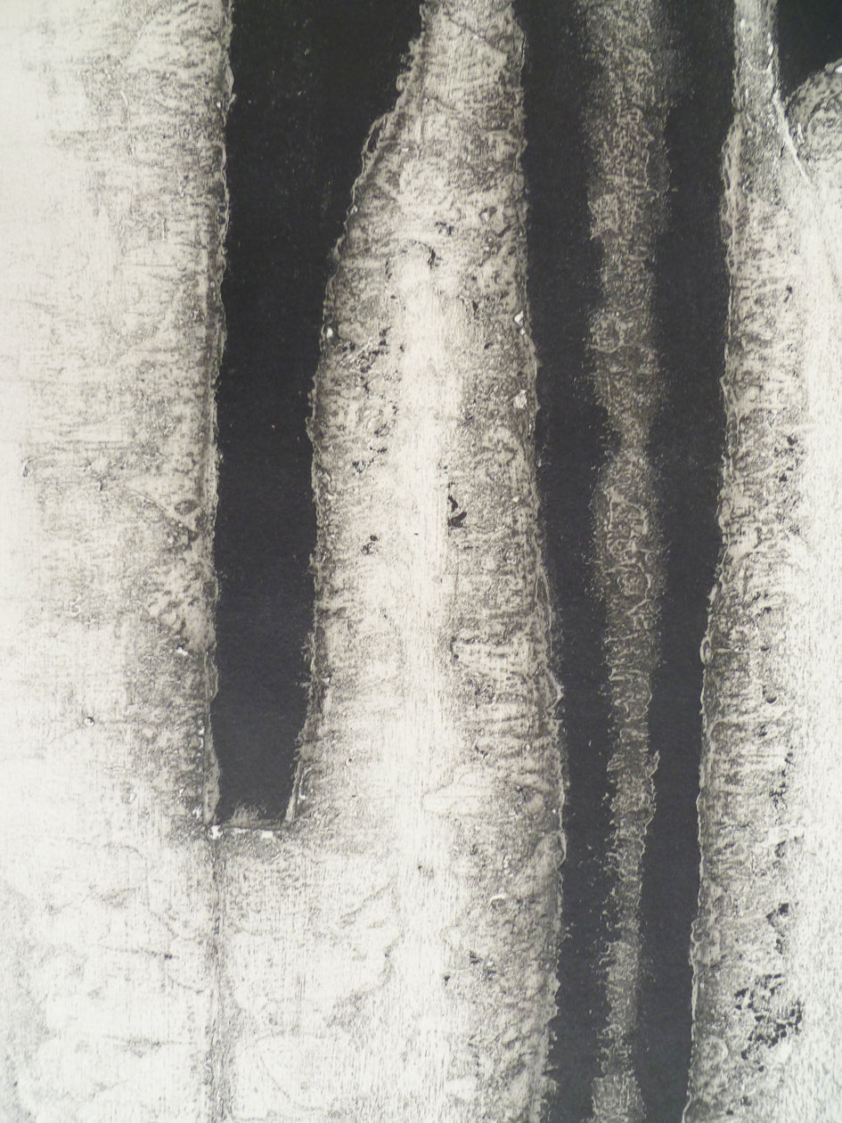 James Guitet Black and White etching 1965 close up image 1
