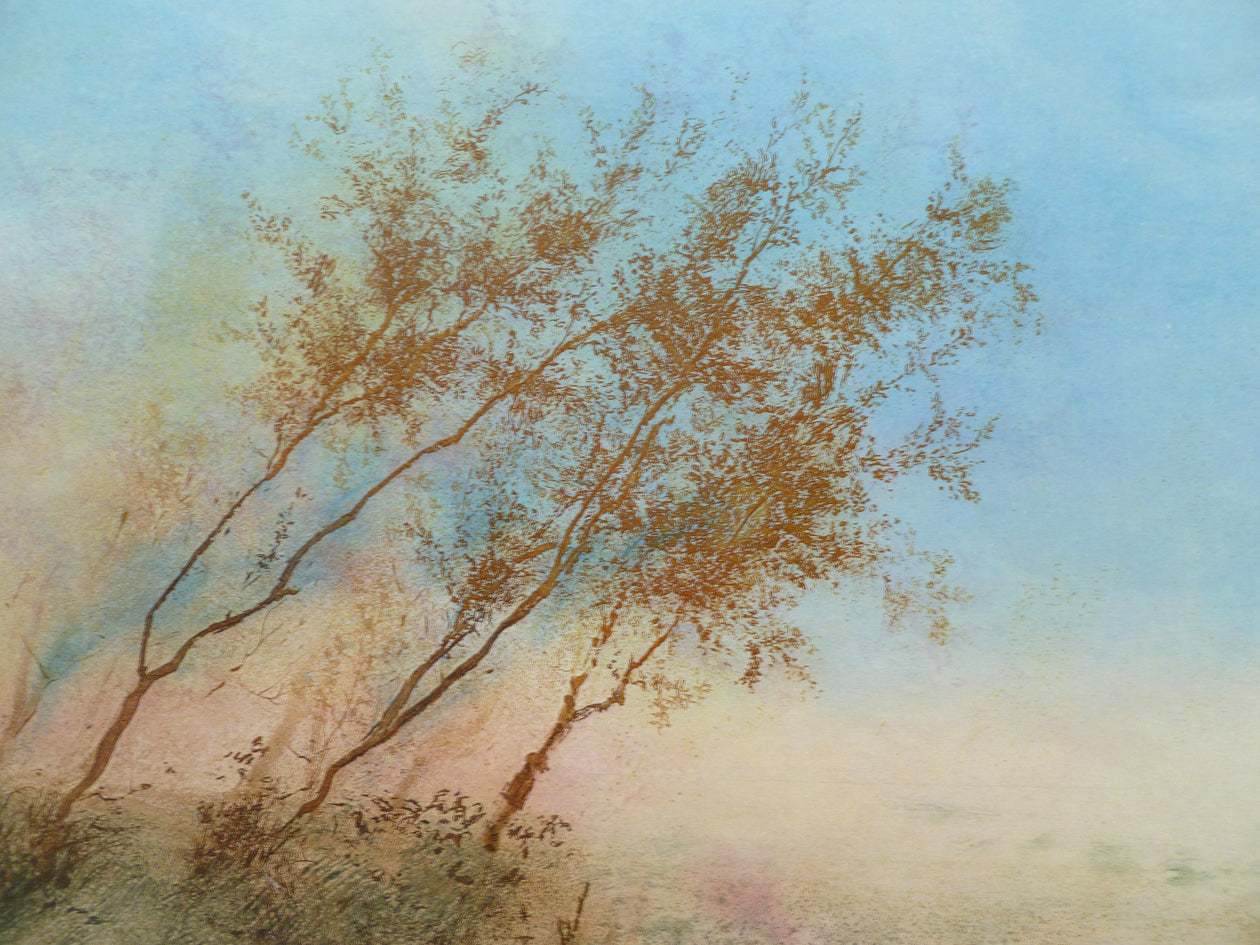 Kaiko Moti large landscape colour aquatint etching close up image