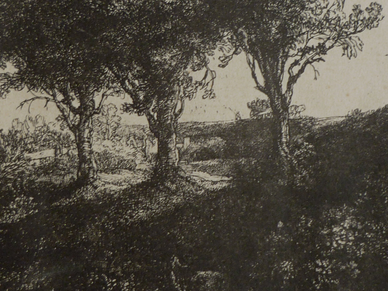 Original Rembrandt plate restrike The Three Trees full close up view image 3